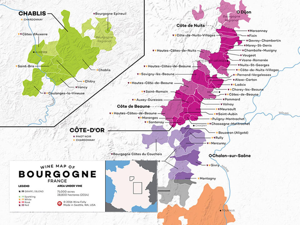 A Simple Guide To Burgundy Wine With Maps Wine Folly