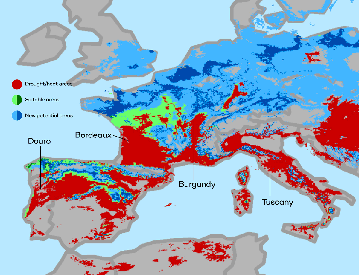 Cover Image for Climate Change vs Wine: A Snapshot of Year 2050