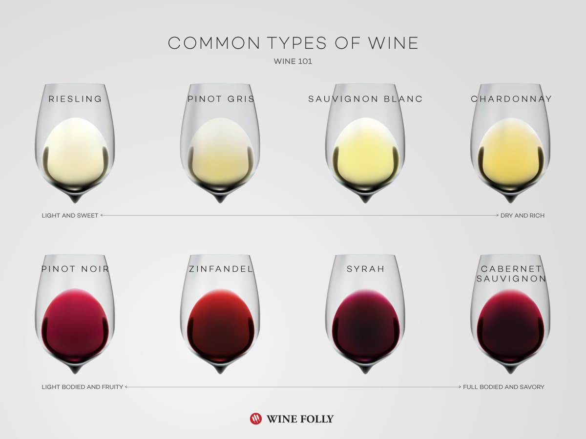 Cover Image for Common Types of Wine (the top varieties)