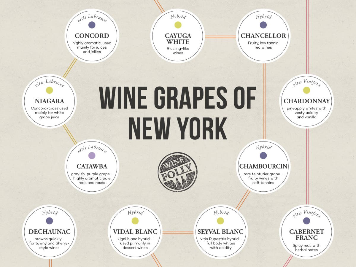 Cover Image for Inside New York Wine Country