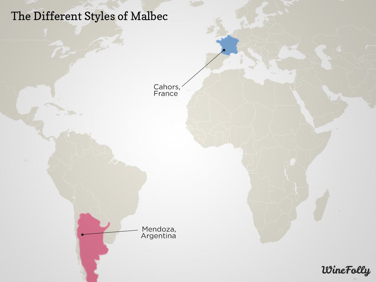 Cover Image for Learn the Difference: Argentinian Malbec vs. French Malbec