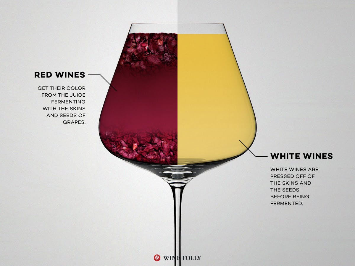 Cover Image for Red Wine vs White Wine: The Real Differences