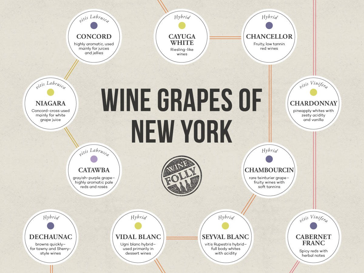 Cover Image for Inside New York Wine Country