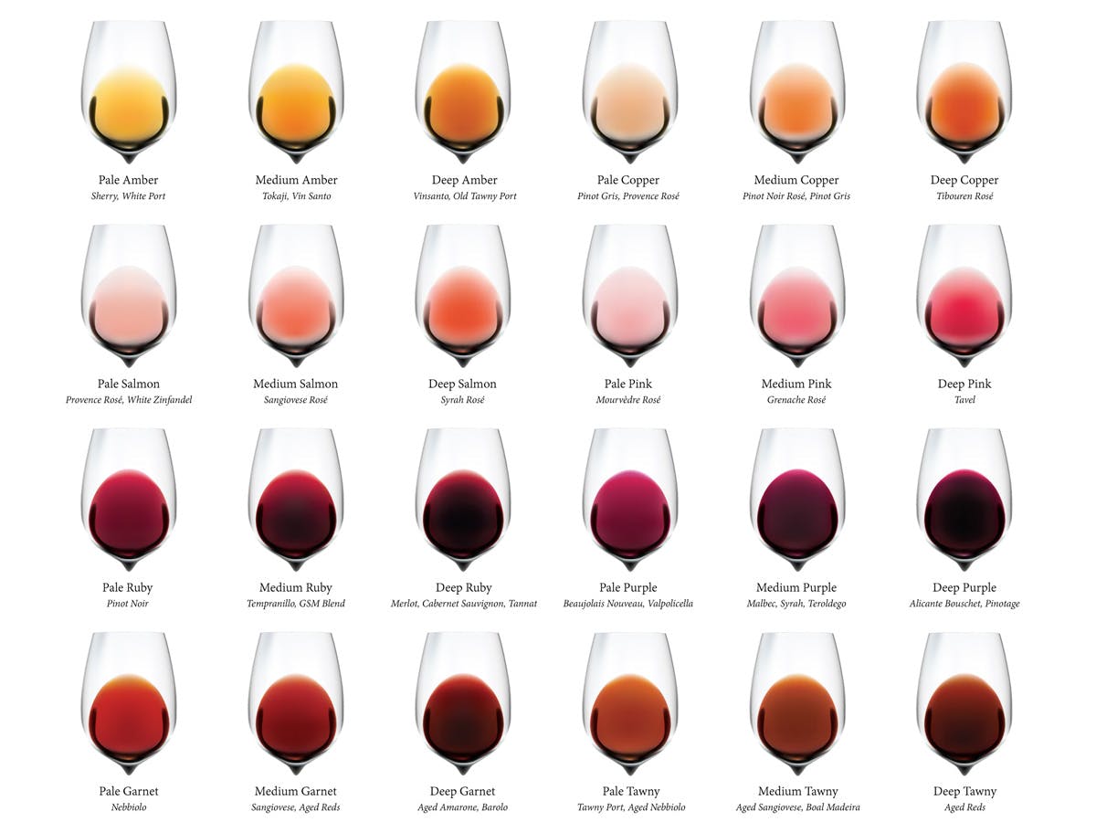 Cover Image for The Wine Color Chart