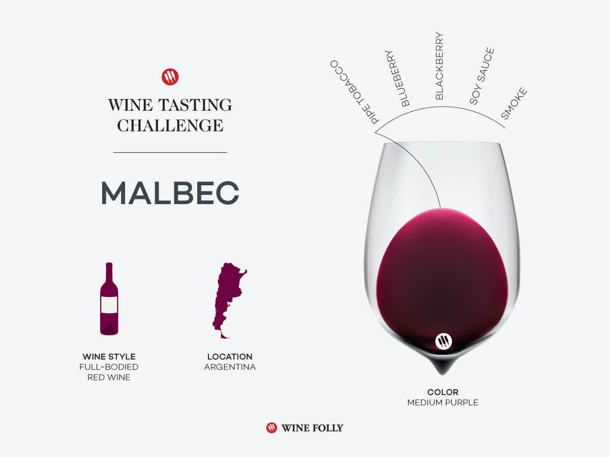 Cover Image for Tasting Challenge: Argentina’s Adopted Child, Malbec