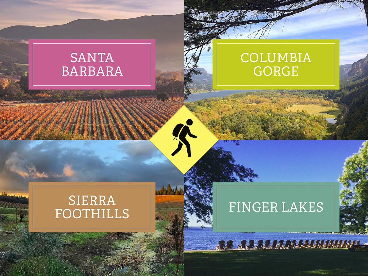 Cover Image for 4 US Wine Trips for Adventurers