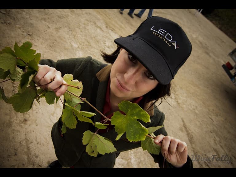 Cover Image for How Port Wine is Made and Why It’s Amazing