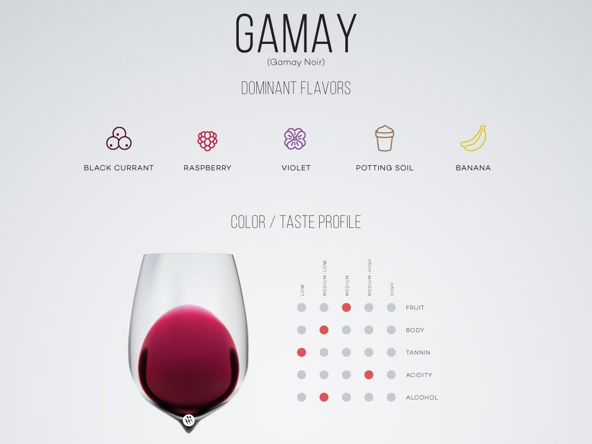 Cover Image for Taster’s Guide to Gamay Wine