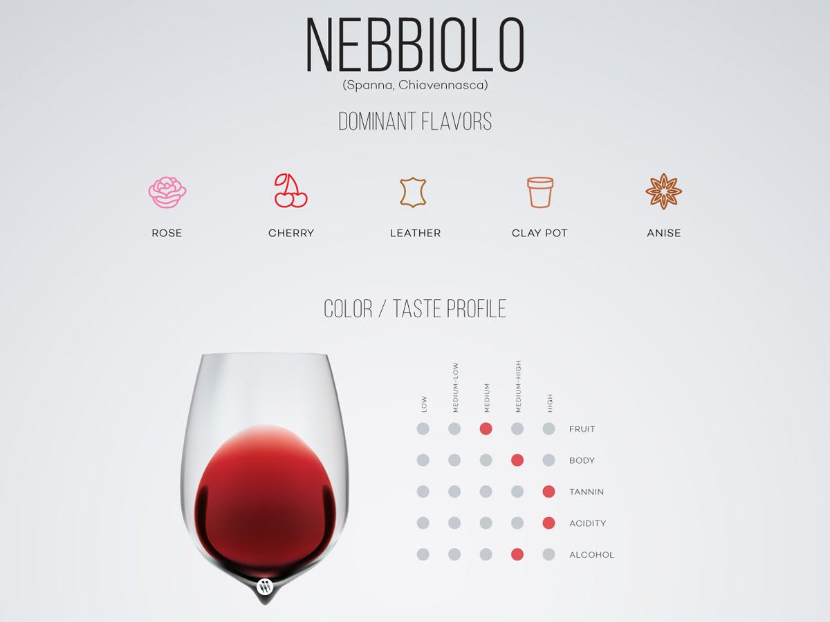 Cover Image for Nebbiolo: The Grape of Barolo and So Much More