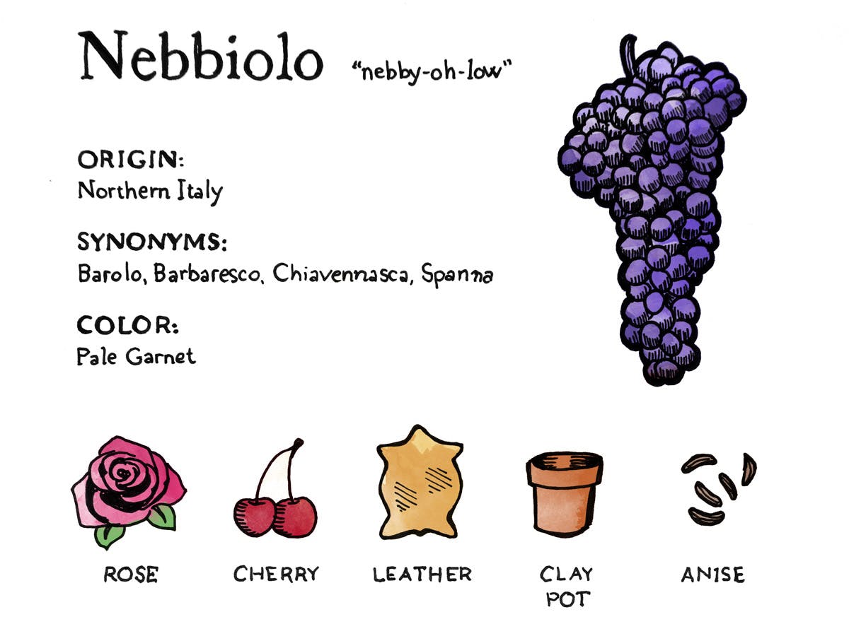 Cover Image for Featured Wine: Nebbiolo