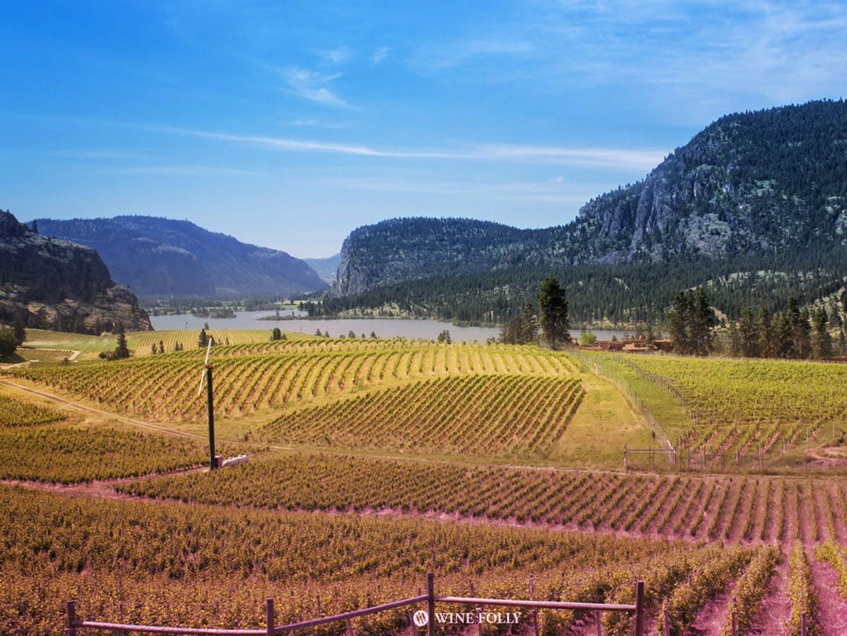 Cover Image for Okanagan Wine Country: The Most Stunning Place You’ve Never Heard Of