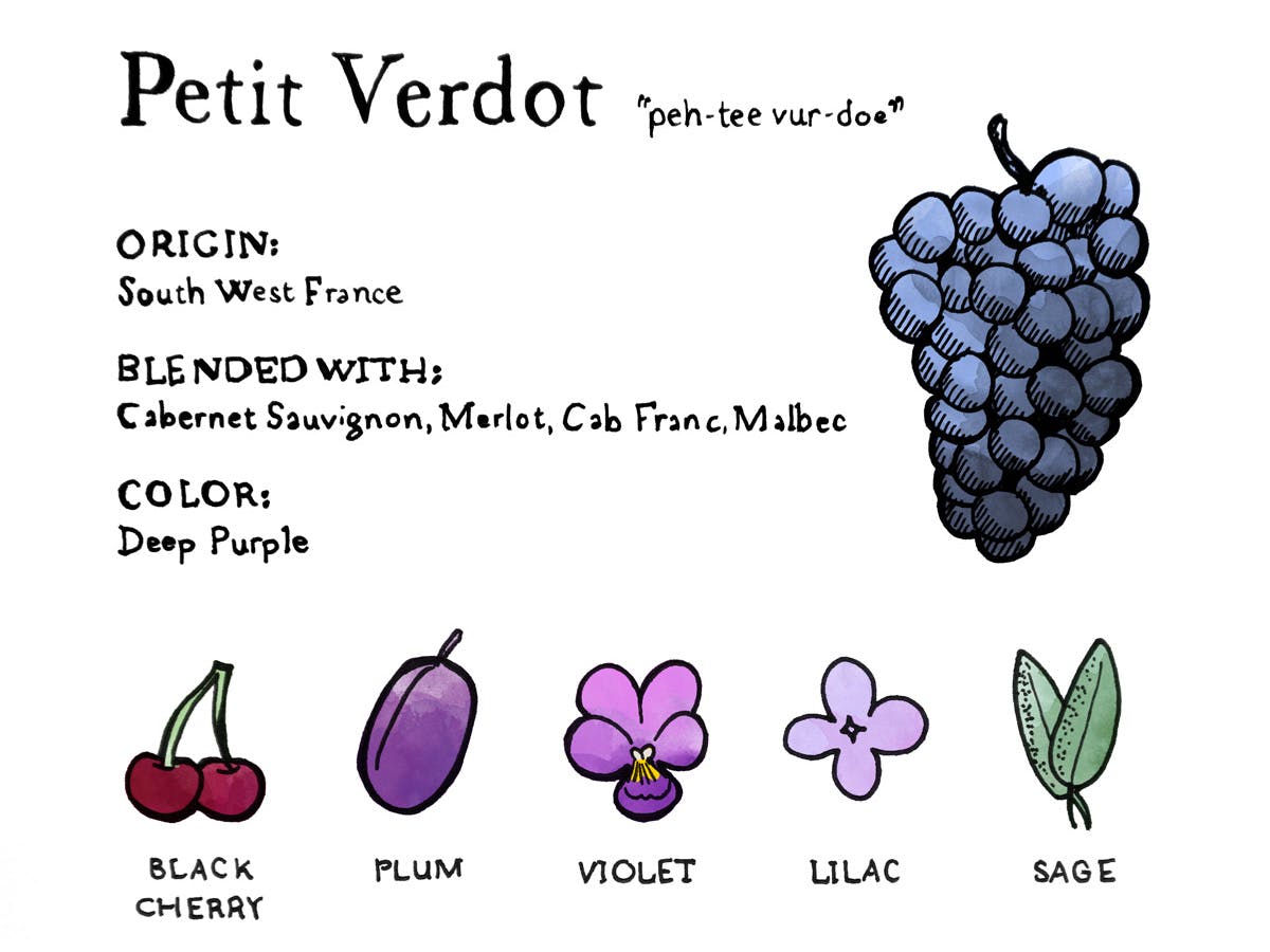 Cover Image for Why You Should Be Drinking Petit Verdot