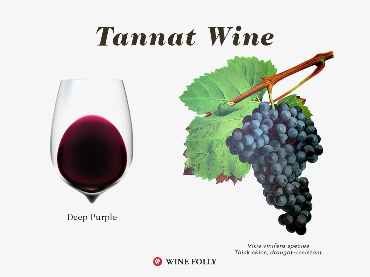 Cover Image for Why You Want To Drink More Tannat Wine