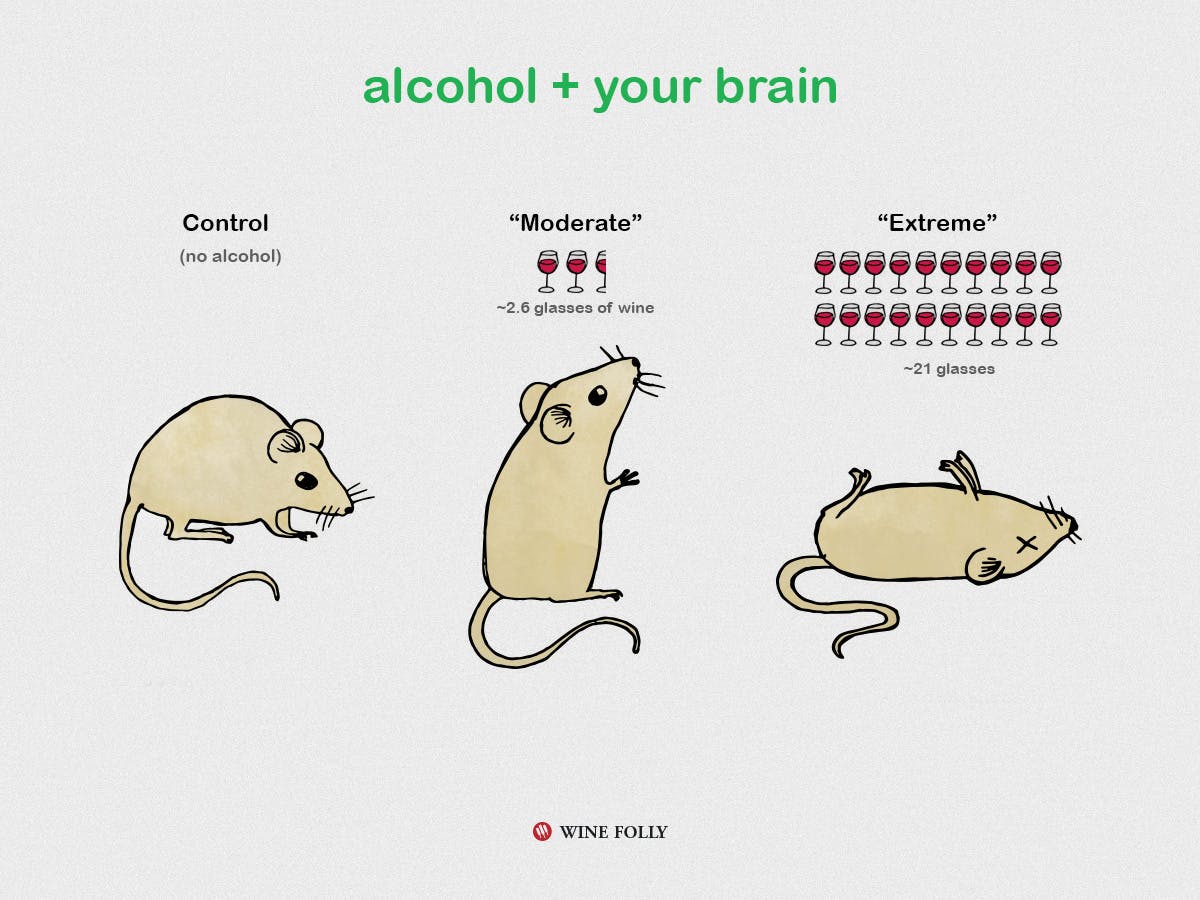 Cover Image for Study Offers A New Look at Alcohol and Your Brain