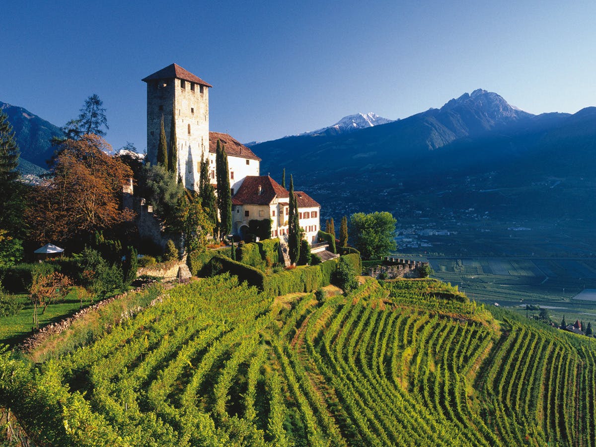 Cover Image for The Alto Adige Wine Story