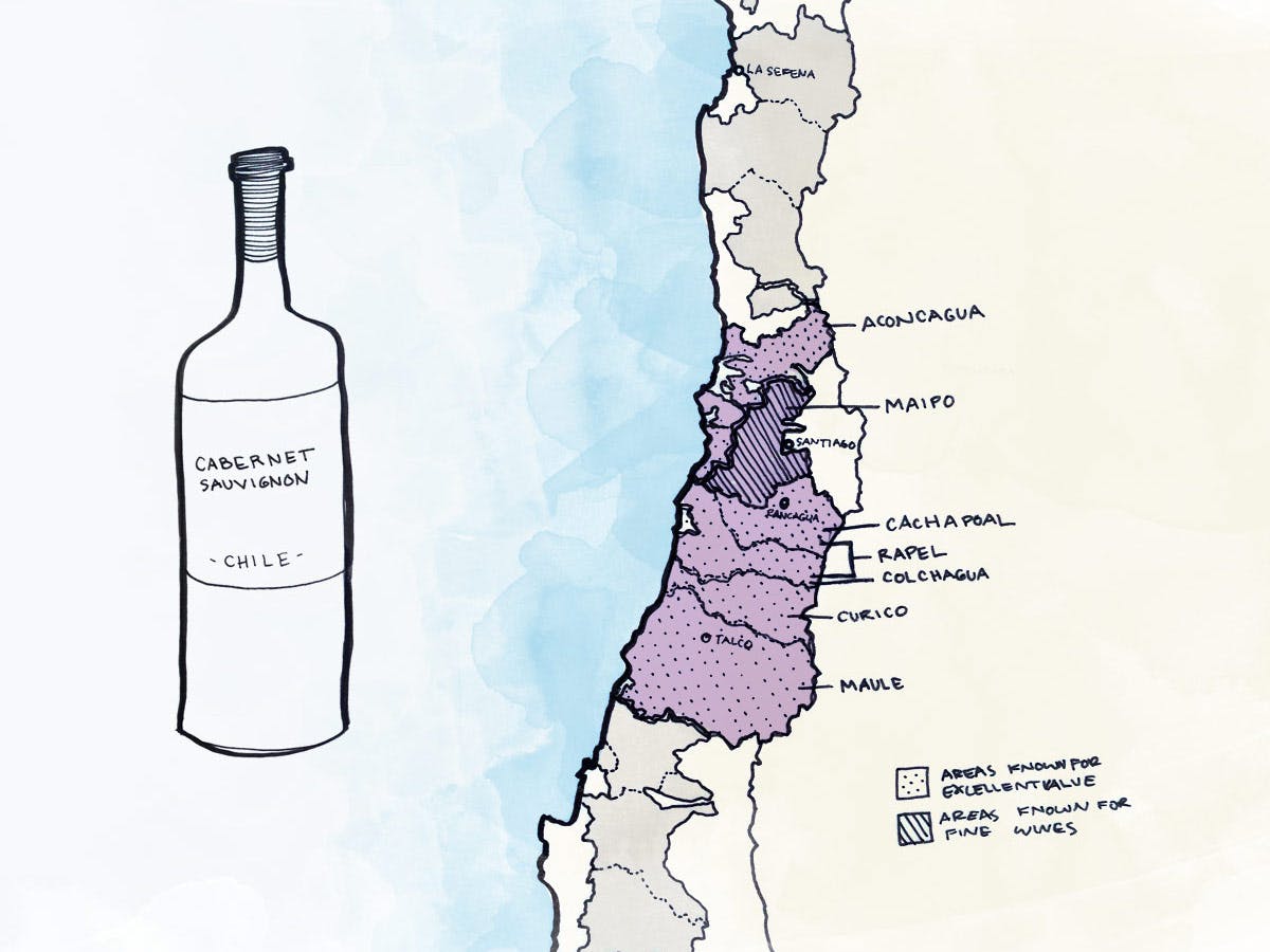 Cover Image for The Best Wines to Try From Chile