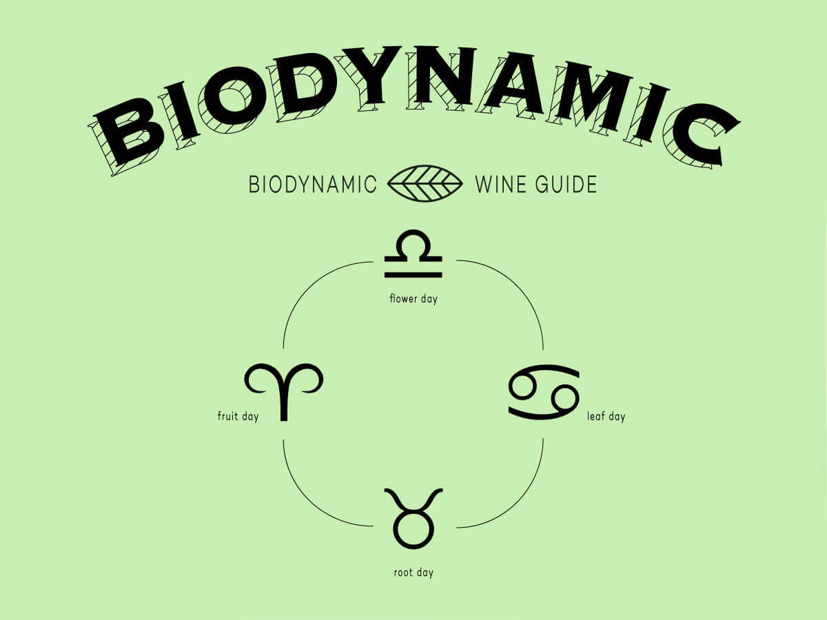 Cover Image for Getting Into Biodynamic Wine