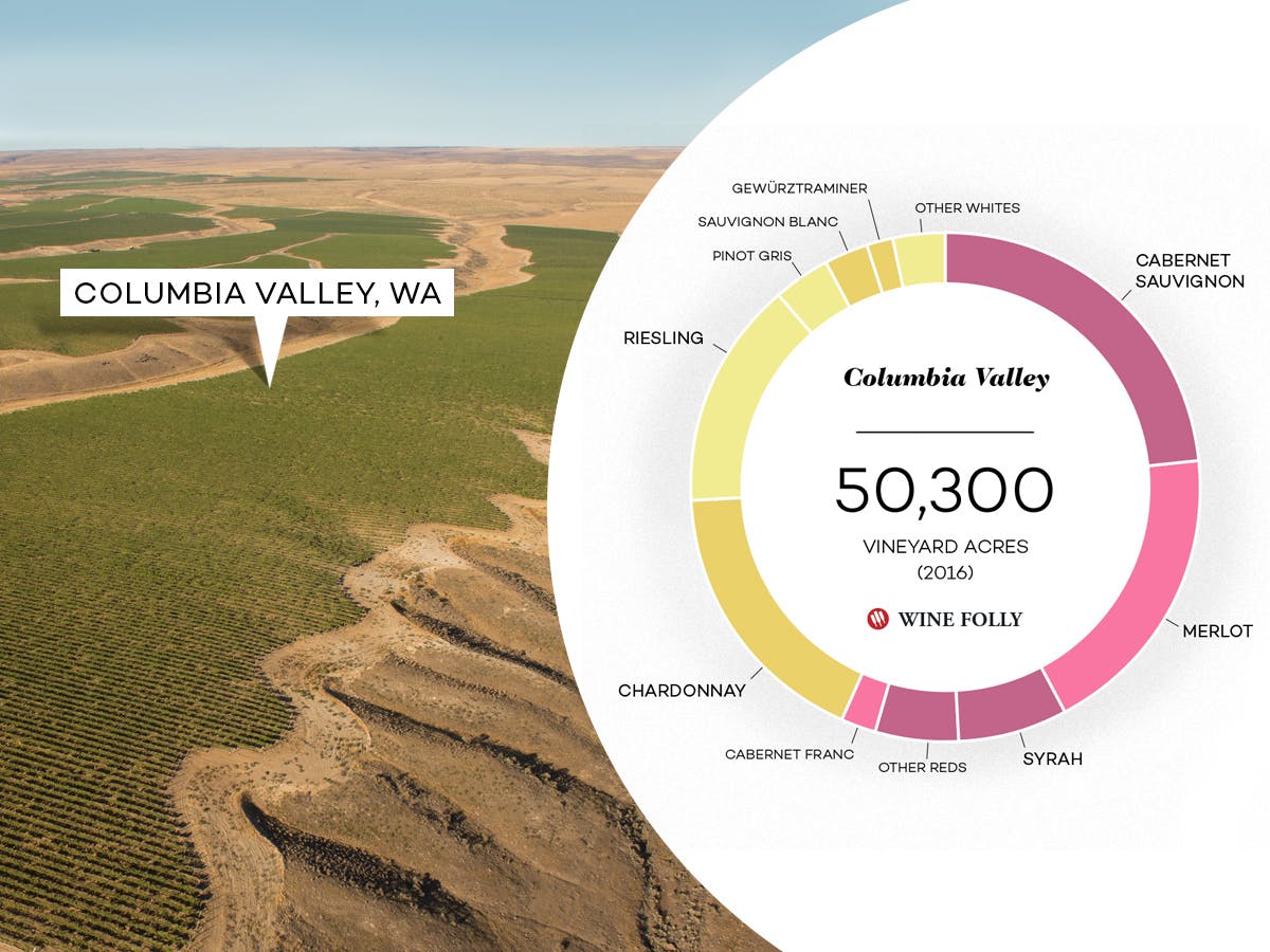 Cover Image for Columbia Valley: Washington’s Biggest Wine Region
