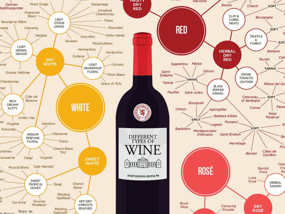 Cover Image for The Many Different Types of Wine (Infographic)