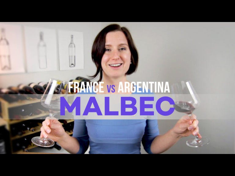 Cover Image for Comparing French vs Argentinian Malbec (Video)