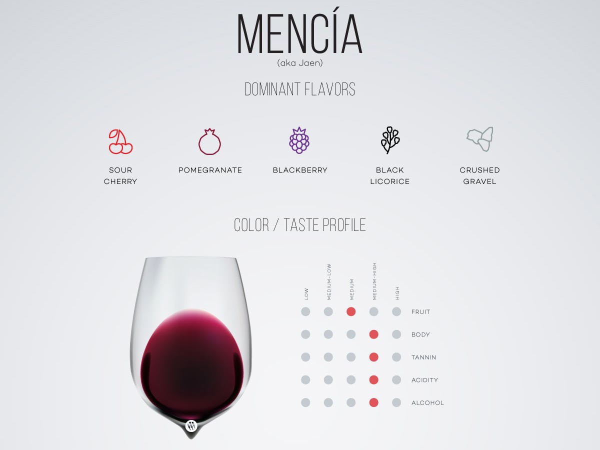 Cover Image for Mencia: The Red Wine To Know