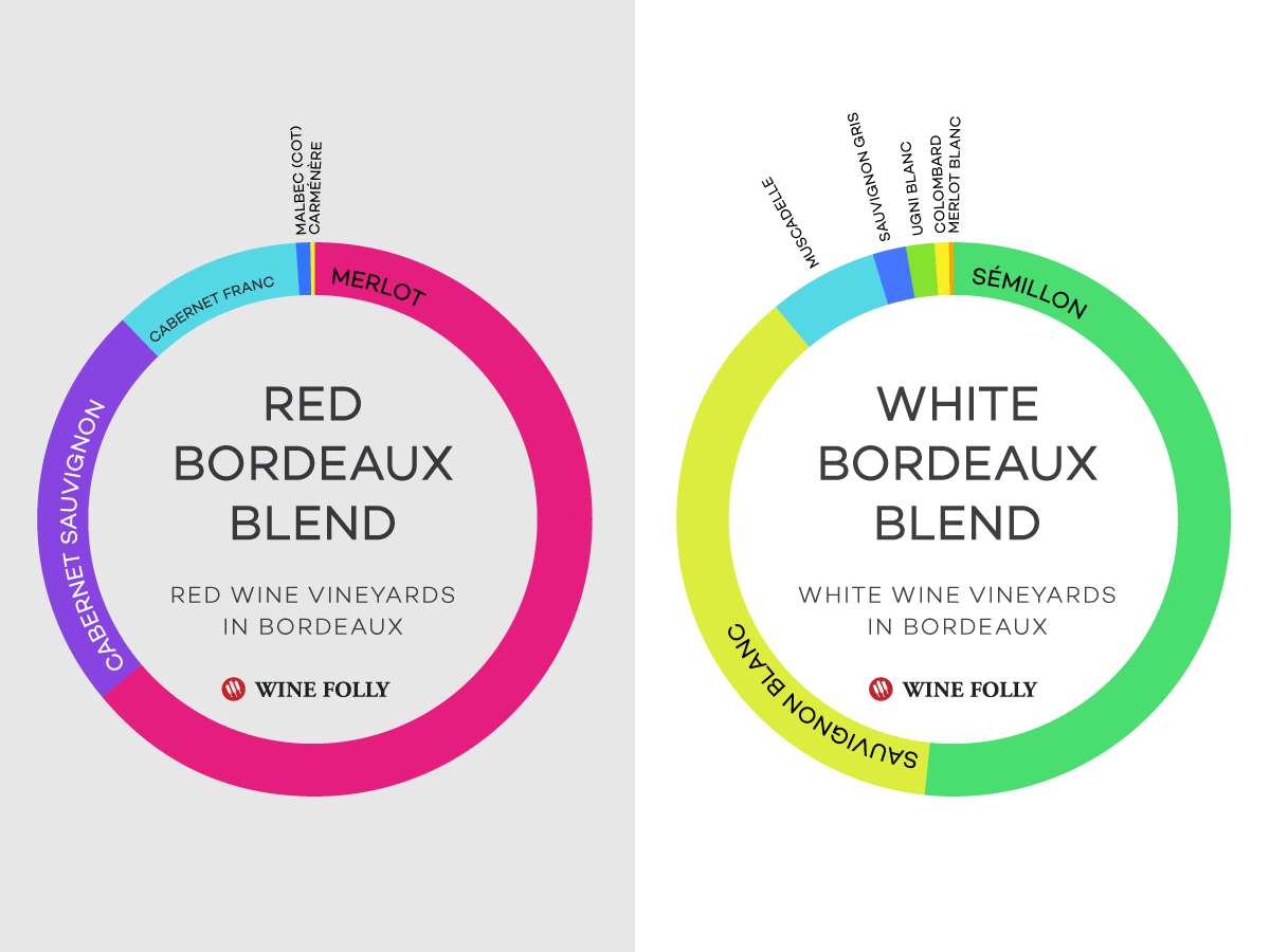 Cover Image for What Grape Varieties make up a Bordeaux Blend?