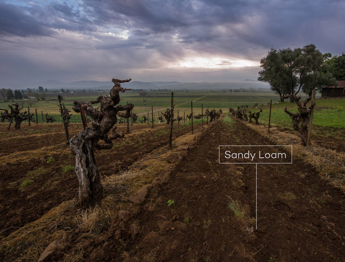 Cover Image for Introduction to Soil Types and Wine
