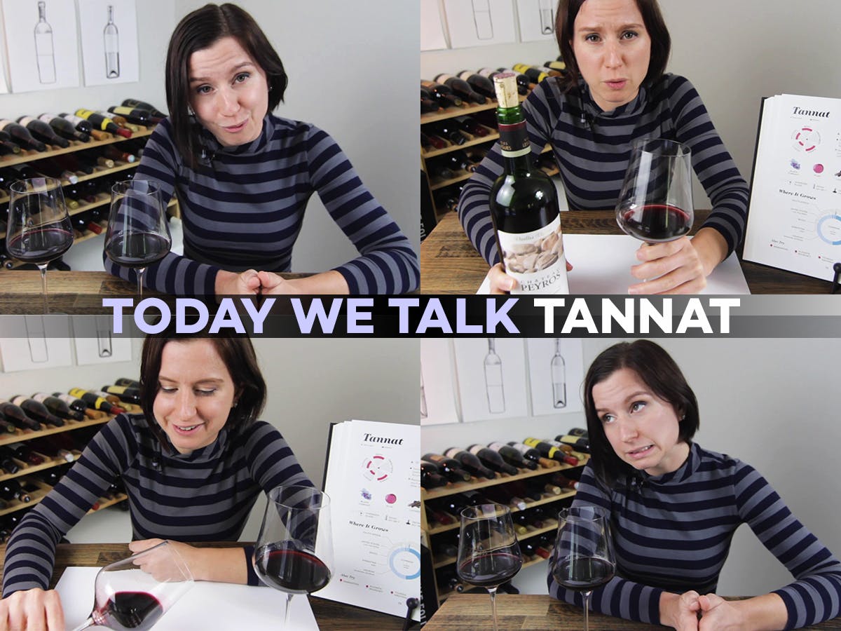 Cover Image for Today We Talk Tannat! (Video)