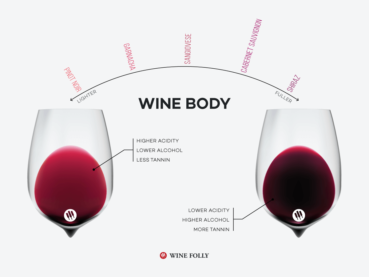 Cover Image for What is Wine Body and How To Taste It