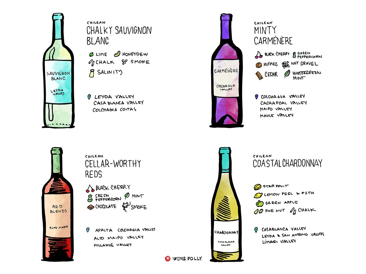 Cover Image for 7 Wines From Chile That Will Blow Your Freakin’ Mind
