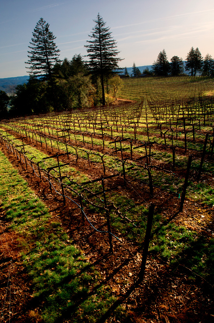 Howell mountain wineries hotsell