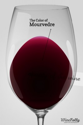 color-of-mourvedre-monastrell-wine-in-a-glass color-of-mourvedre-monastrell-wine-in-a-glass