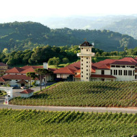 Wines of Brazil Vineyards Serra Gaúcha