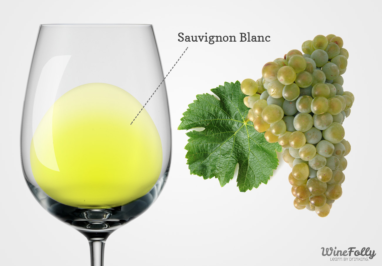 The Comprehensive Guide to Sauvignon Blanc | Wine Folly (2024)