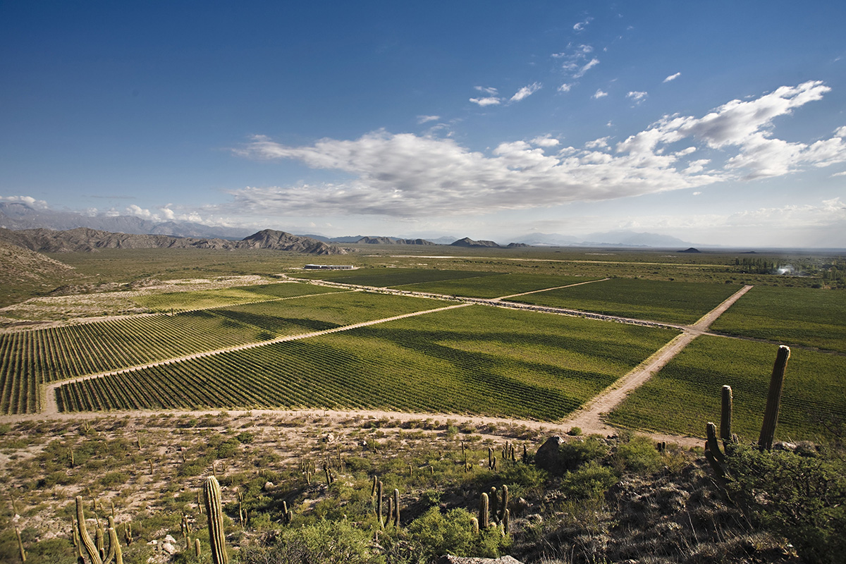 map of Argentina's wine regions