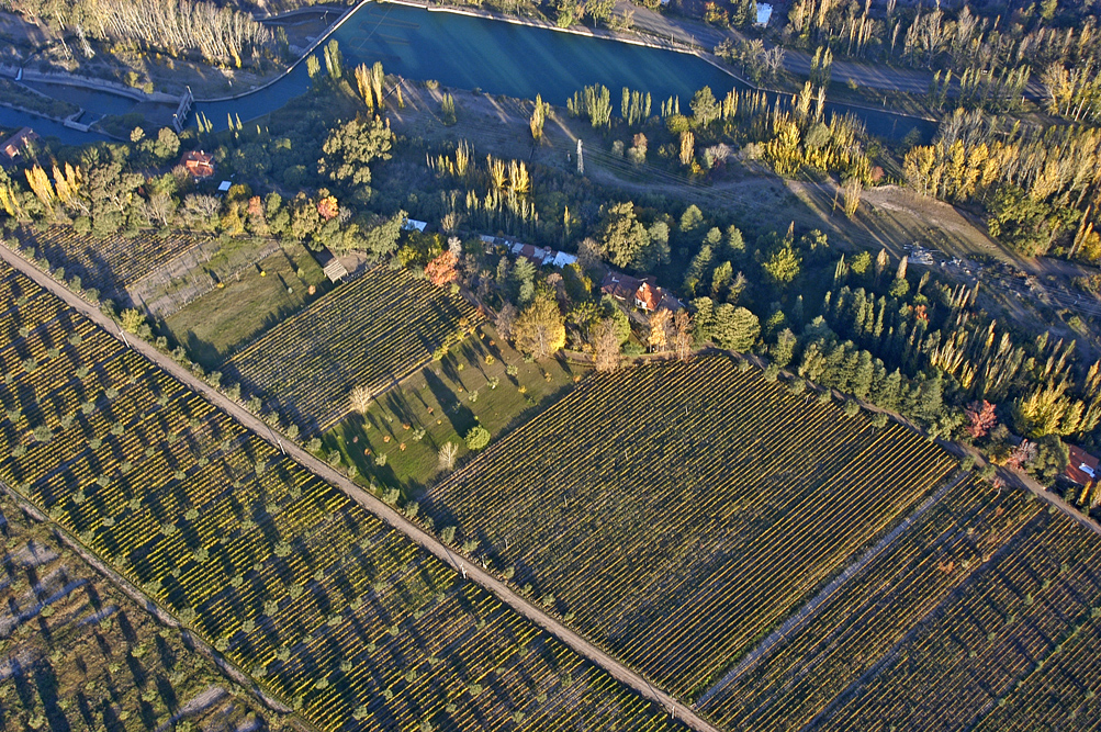 Over vineyards in Lujan de Cuyo, the classic Malbec-growing spot in Mendoza. by Carlos Calise