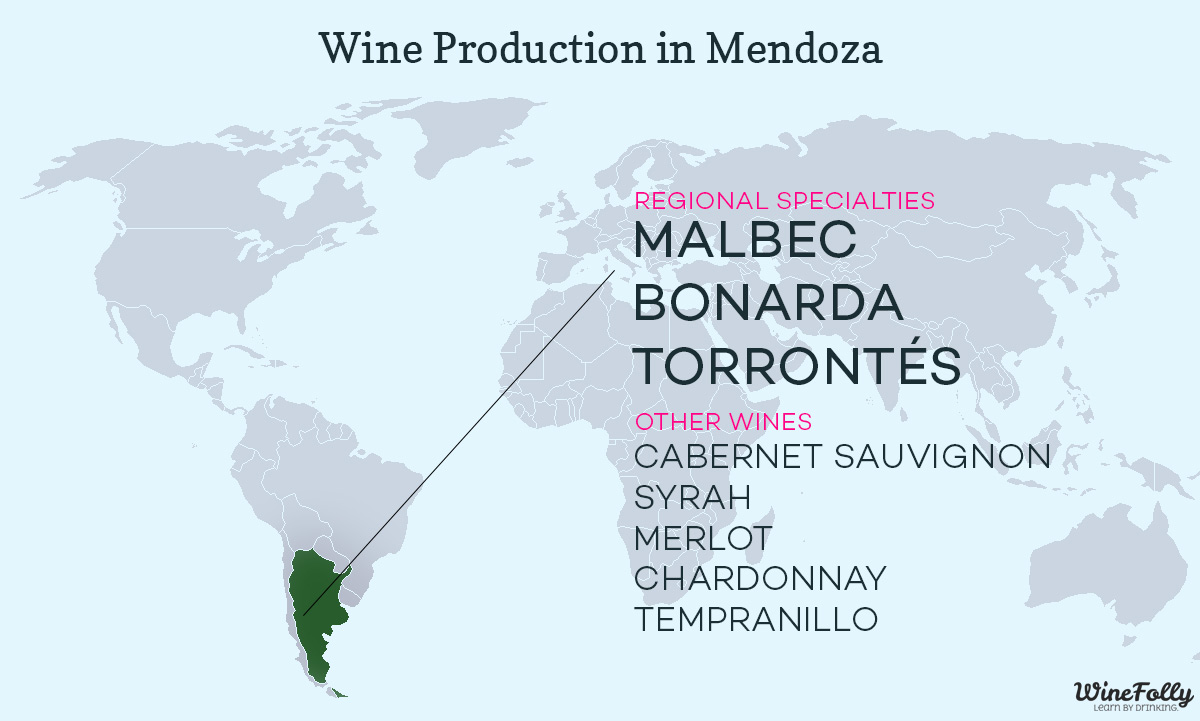 wine-production-argentina-guide