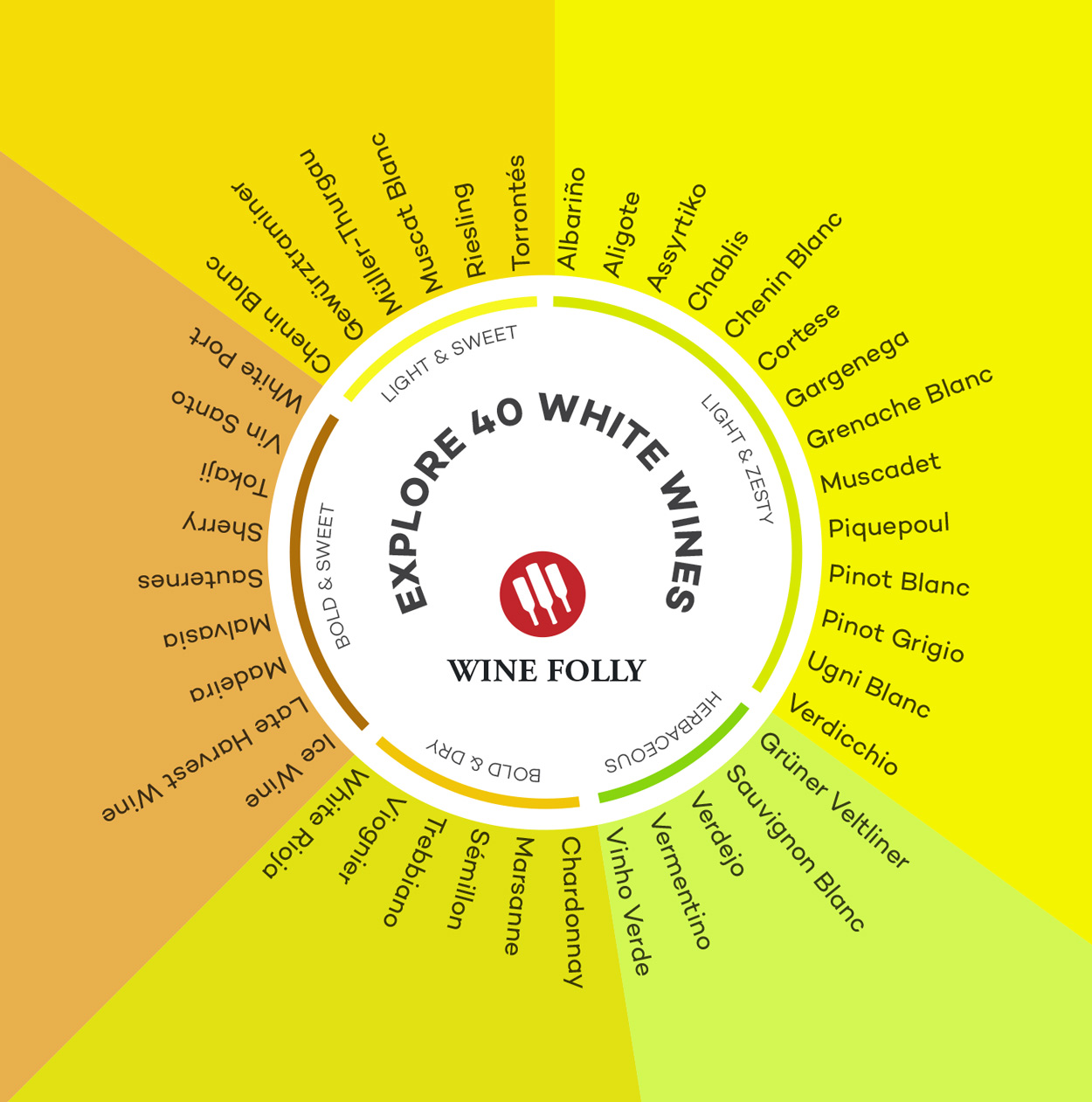 White Wines List for Beginners