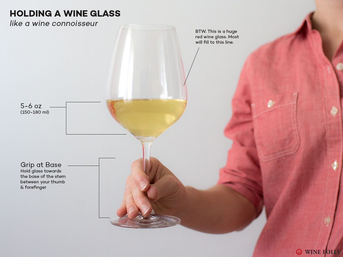 ARE YOU SERVING YOUR WINE IN THE CORRECT GLASSWARE? – The Wine and Food  Review