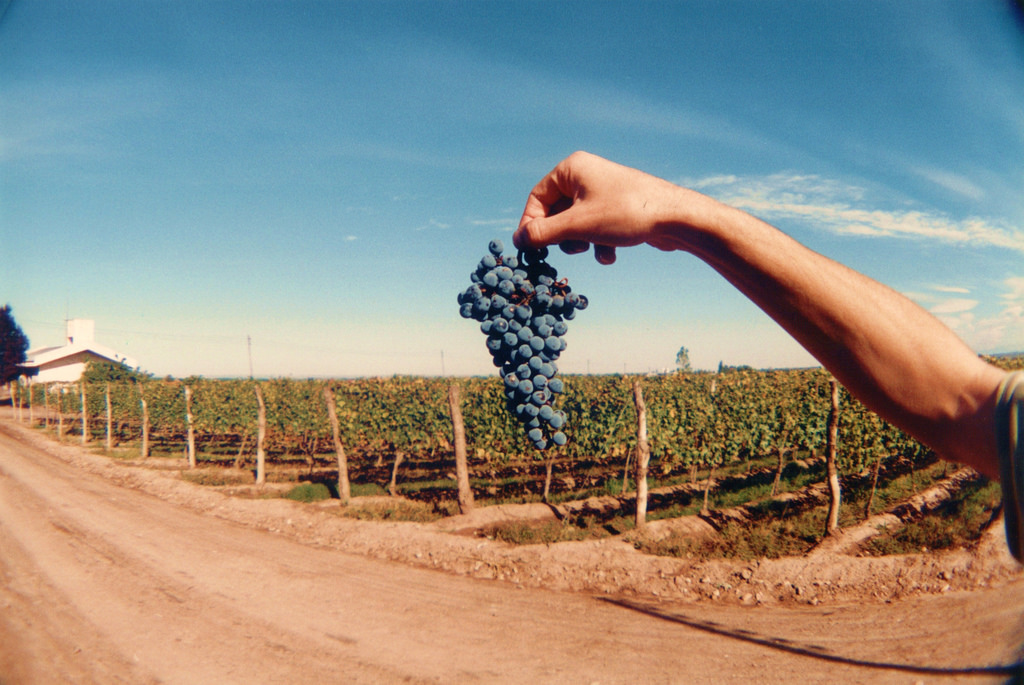 Argentina/Mendoza