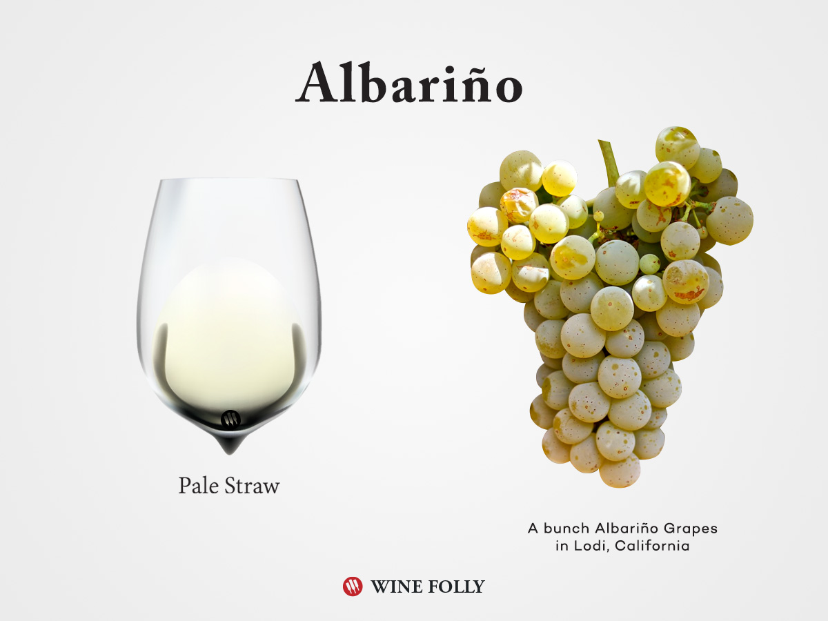 Albarino grapes and Albarino wine in a glass by Wine Folly 2017