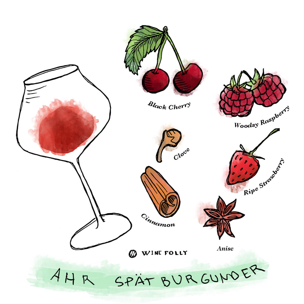 Ahr-Pinot-Noir-Spatburgunder-品酒笔记-WineFolly-插图