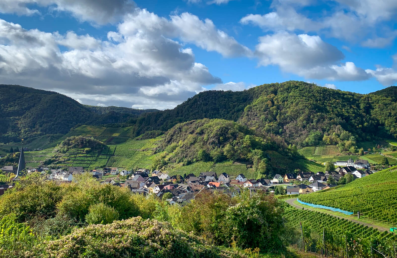 Germany’s Ahr Valley: Mountains of Pinot Noir  Wine Folly