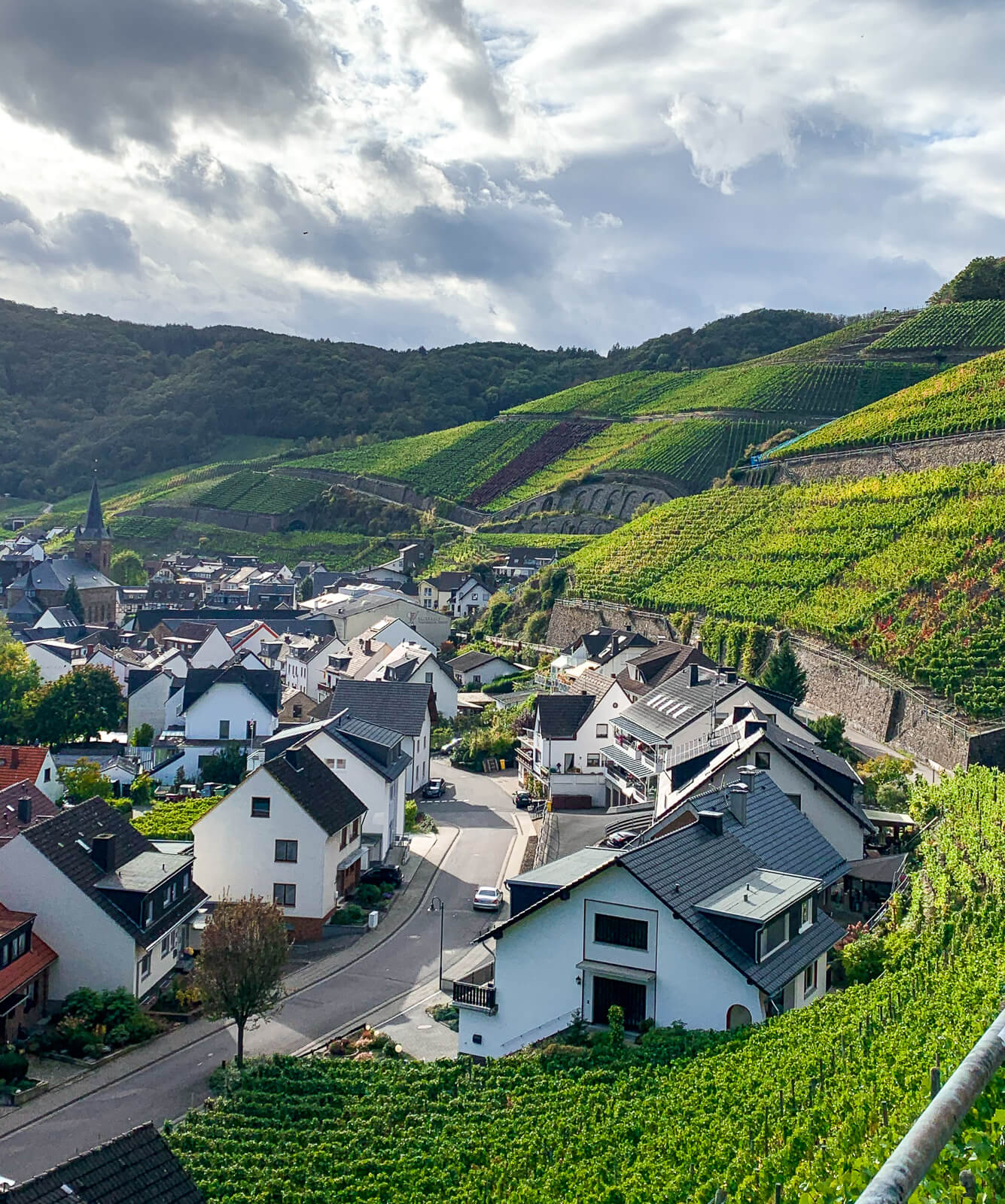 Germany’s Ahr Valley: Mountains of Pinot Noir  Wine Folly