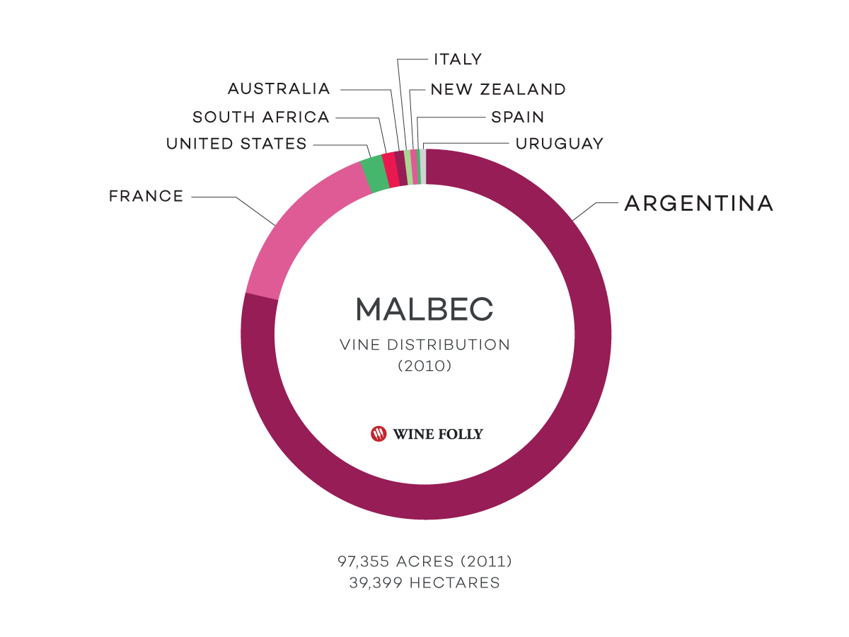 The Acres / hectares plantings of Malbec vineyards in the world - grape distribution infographic by Wine Folly