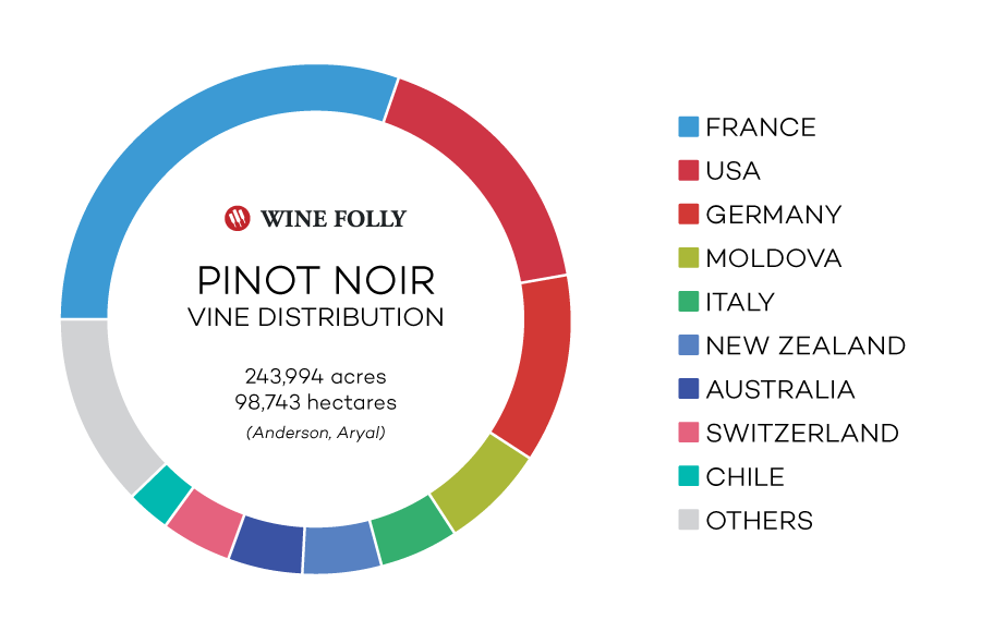 Pinot Noir wine grape acres / hectares worldwide and top countries - infographic by Wine Folly