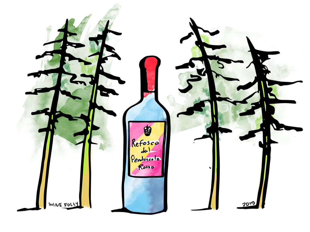 refosco-bottle-illustration-winefolly