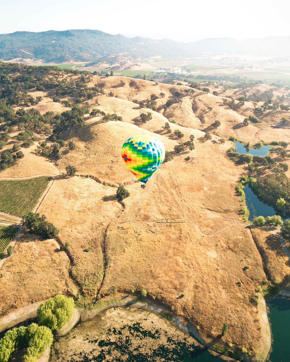 Napa Valley by Air Balloon - view of vineyards - Photo by Sebastien Gabriel