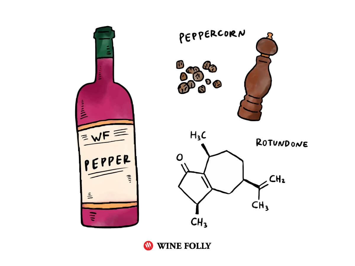 Spicy Red Wine Quick Guide Wine Folly