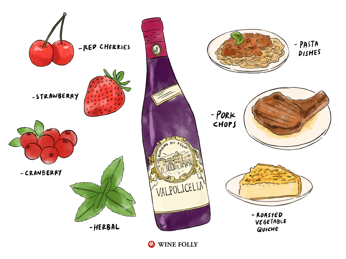 Illustration of Valpolicella with flavors and food pairings.